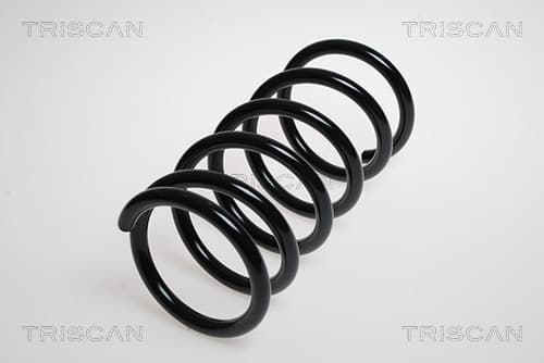 Spiralfjäder bak från TRISCAN