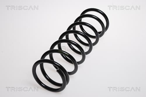 Spiralfjäder bak från TRISCAN