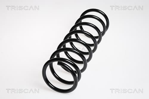 Spiralfjäder bak från TRISCAN