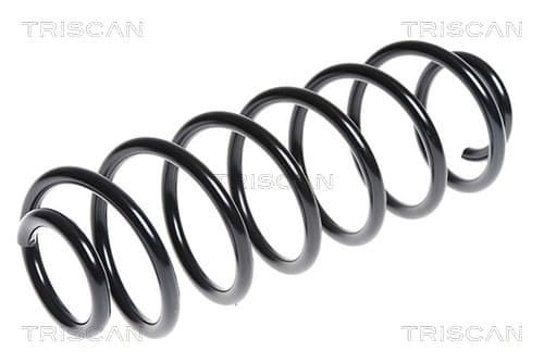 Spiralfjäder bak från TRISCAN