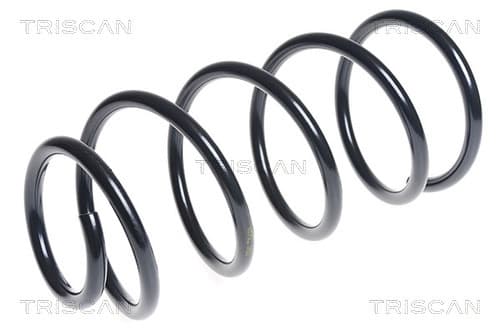 Spiralfjäder fram från TRISCAN