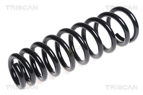 Spiralfjäder fram från TRISCAN