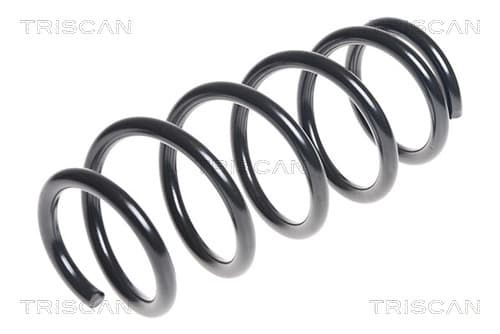 Spiralfjäder bak från TRISCAN