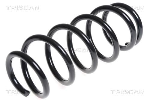 Spiralfjäder bak från TRISCAN