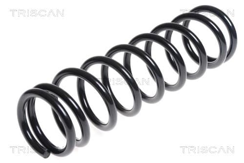 Spiralfjäder bak från TRISCAN