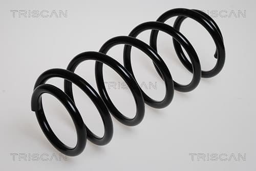 Spiralfjäder fram — framaxel från TRISCAN