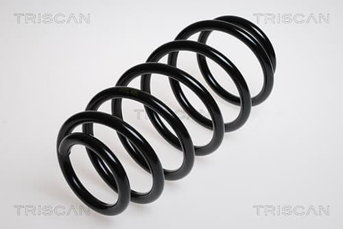 Spiralfjäder fram — framaxel från TRISCAN