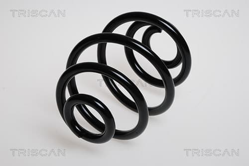 Spiralfjäder bak