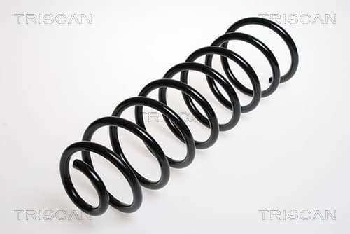 Spiralfjäder bak