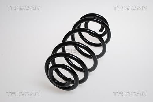 Spiralfjäder bak