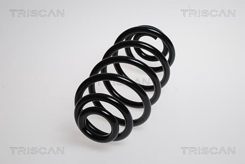 Spiralfjäder bak