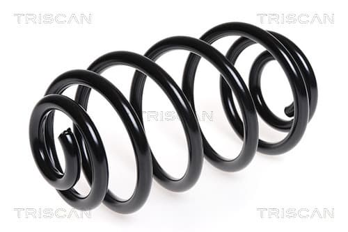 Spiralfjäder bak