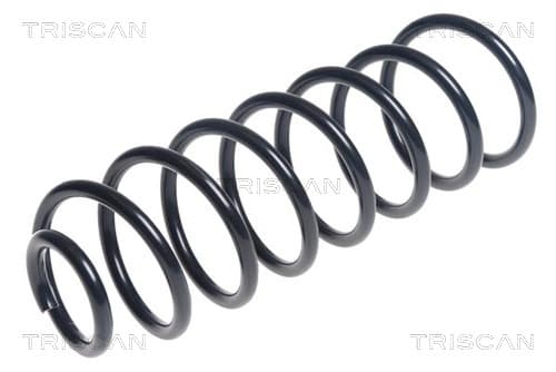 Spiralfjäder bak — Bakaxel från TRISCAN