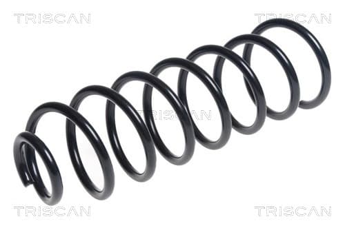 Spiralfjäder bak