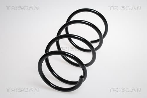 Spiralfjäder fram från TRISCAN