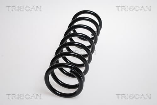 Spiralfjäder bak från TRISCAN
