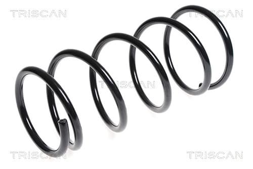 Spiralfjäder fram från TRISCAN