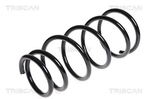 Spiralfjäder bak från TRISCAN