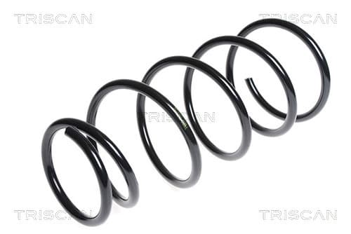 Spiralfjäder bak från TRISCAN