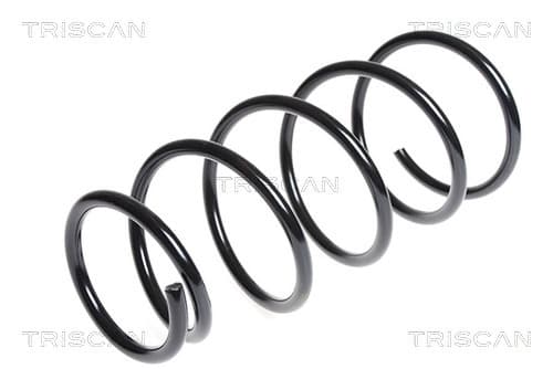 Spiralfjäder bak från TRISCAN