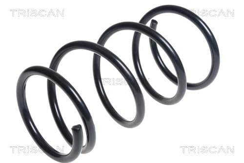 Spiralfjäder fram från TRISCAN