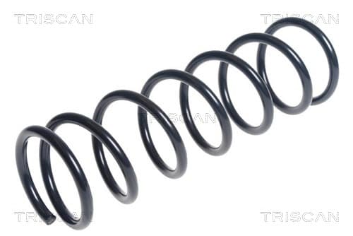 Spiralfjäder bak — Bakaxel från TRISCAN