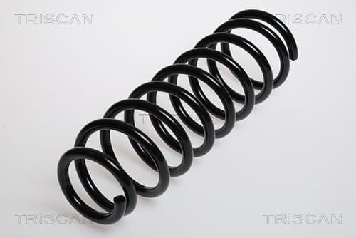 Spiralfjäder bak från TRISCAN