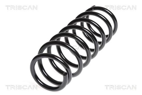 Spiralfjäder bak från TRISCAN