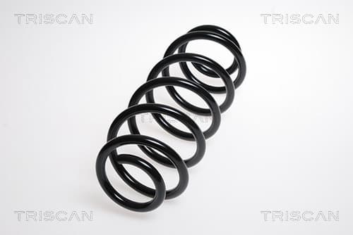 Spiralfjäder bak — Bakaxel från TRISCAN
