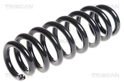 Spiralfjäder bak från TRISCAN