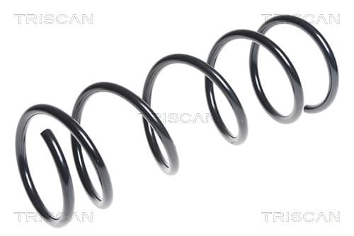Spiralfjäder fram från TRISCAN