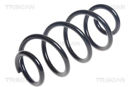 Spiralfjäder bak från TRISCAN