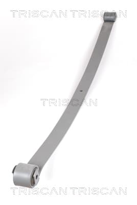 Bladfjäder bak — Bakaxel från TRISCAN