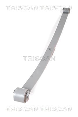 Bladfjäder bak — Bakaxel från TRISCAN