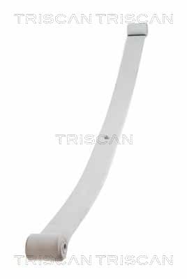 Bladfjäder bak från TRISCAN