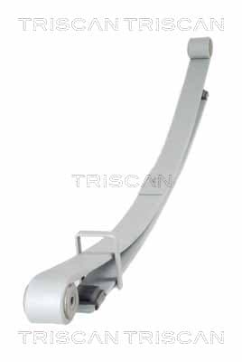 Bladfjäder bak — Bakaxel från TRISCAN