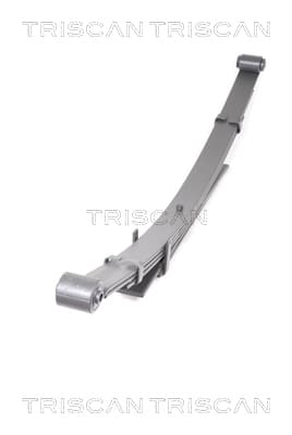 Bladfjäder bak — Bakaxel från TRISCAN