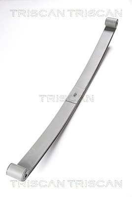 Bladfjäder bak — Bakaxel från TRISCAN