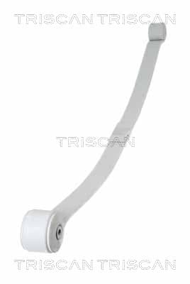 Bladfjäder bak från TRISCAN