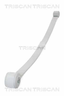 Bladfjäder bak från TRISCAN