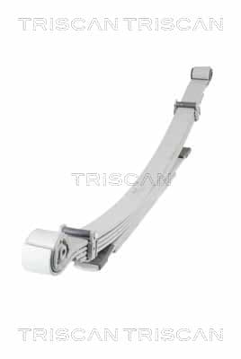 Bladfjäder bak från TRISCAN