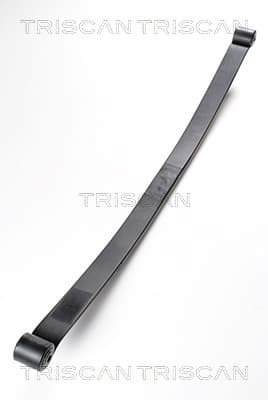 Bladfjäder bak — Bakaxel från TRISCAN