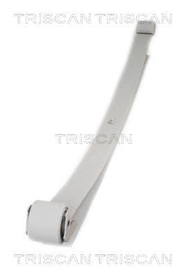 Bladfjäder bak — Bakaxel från TRISCAN