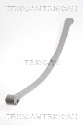 Bladfjäder bak från TRISCAN