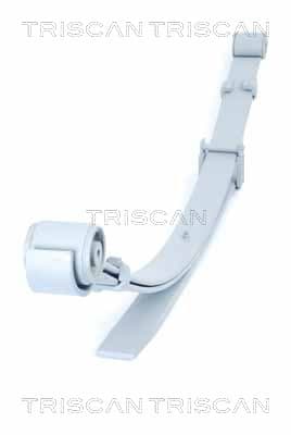 Bladfjäder bak från TRISCAN