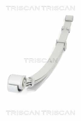 Bladfjäder bak från TRISCAN