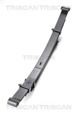 Bladfjäder bak från TRISCAN