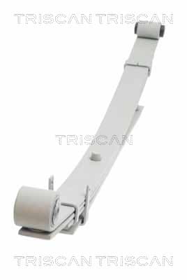 Bladfjäder bak — Bakaxel från TRISCAN