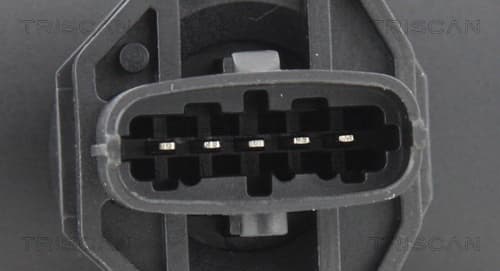 Luftmassesensor från TRISCAN