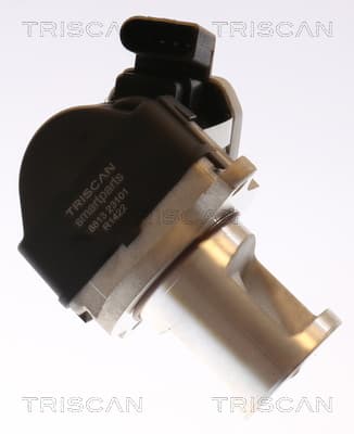 EGR-ventil från TRISCAN
